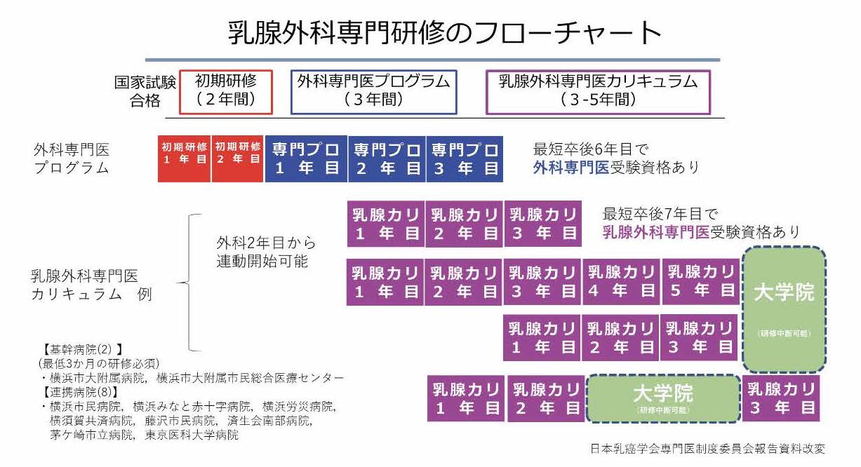 乳腺外科希望の医師の皆様へ - 横浜市立大学医学部 消化器・腫瘍